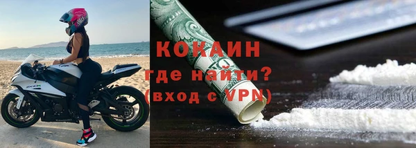 стаф Осташков