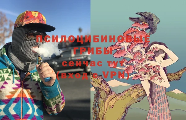 героин Няндома
