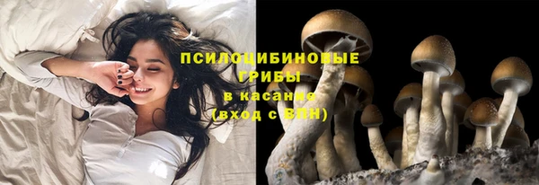 твердый Нязепетровск