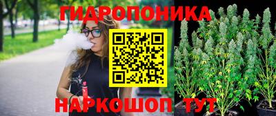 прущие крисы Будённовск