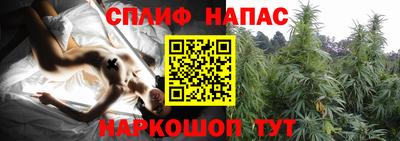 прущие крисы Будённовск