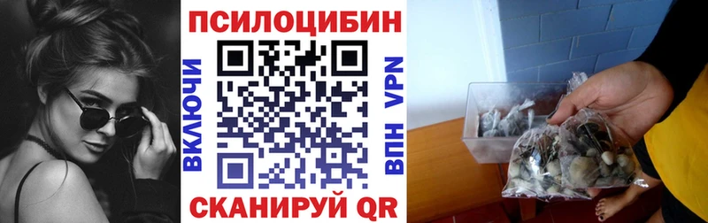 Псилоцибиновые грибы мухоморы  магазин продажи наркотиков  Краснознаменск 