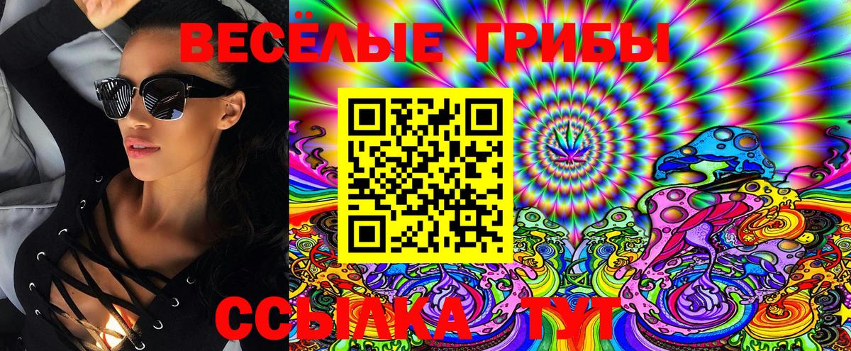 Псилоцибиновые грибы Psilocybine cubensis  Вход с VPN  Краснознаменск 