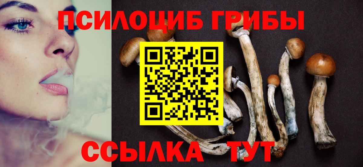 Галлюциногенные грибы прущие грибы Краснознаменск